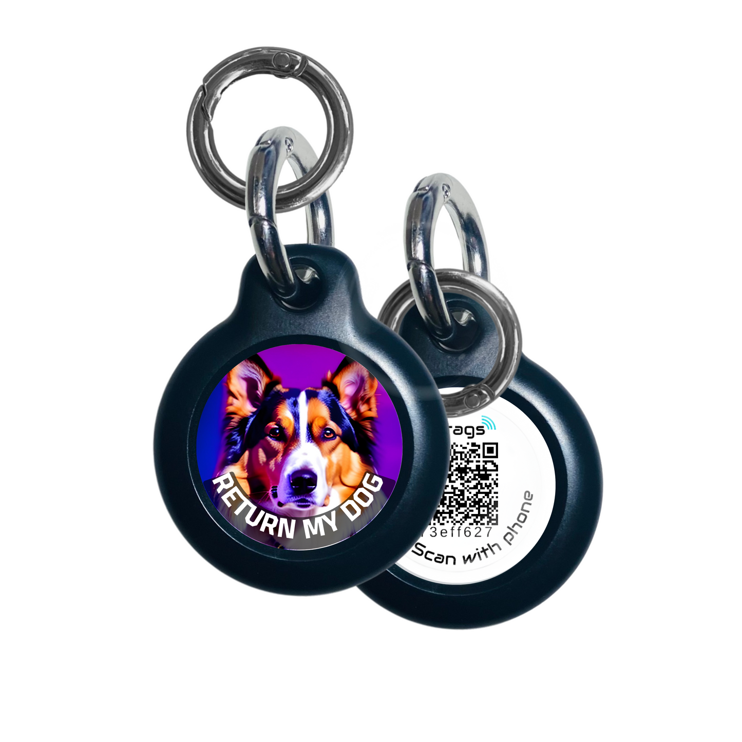 ID Perros Collie